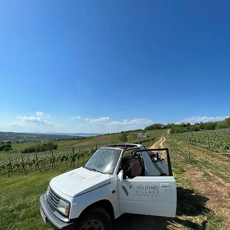 Prázdninový dům Voelgyhid Village Balaton *