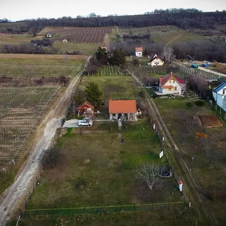 Voelgyhid Village Balaton Prázdninový dům Kőröshegy