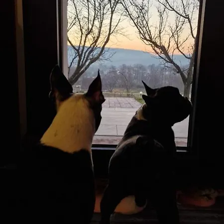 Prázdninový dům Voelgyhid Village Balaton Kőröshegy