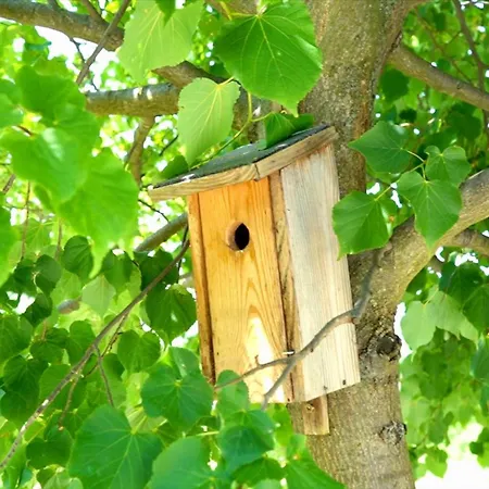 Voelgyhid Village Balaton