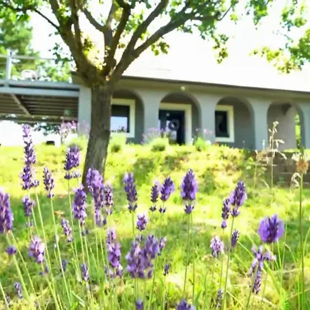 Völgyhíd Village Balaton Casa de Férias