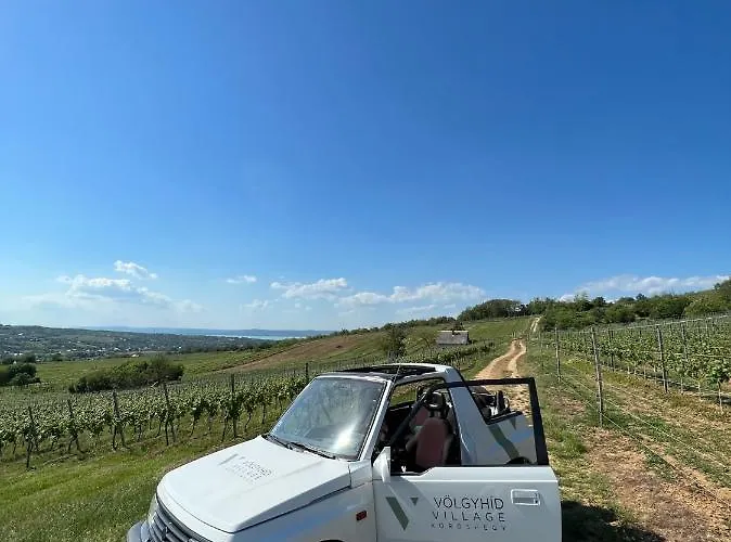 Vakantiehuis Voelgyhid Village Balaton *