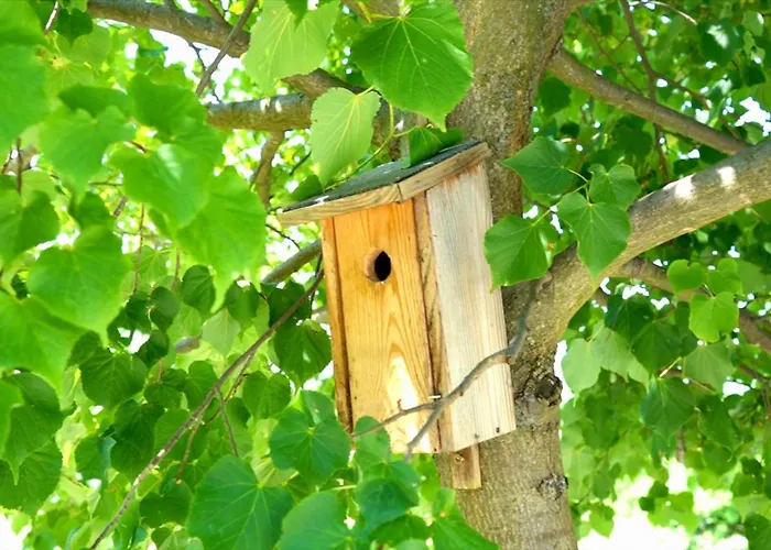 Voelgyhid Village Balaton