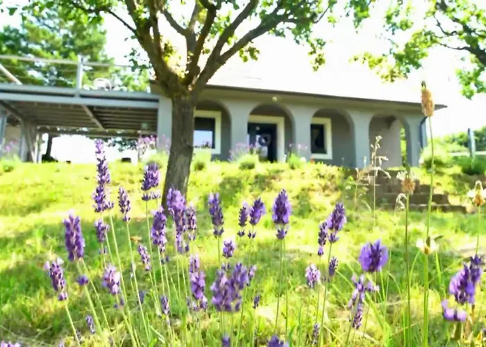 Völgyhíd Village Balaton Casa de Férias